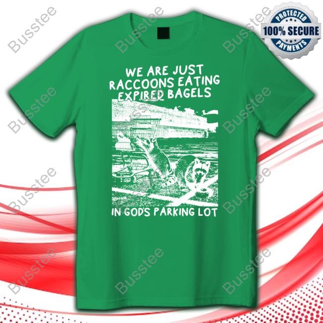 We Are Just Raccoons Eating Expired Bagels In God's Parking Lot Hoodie