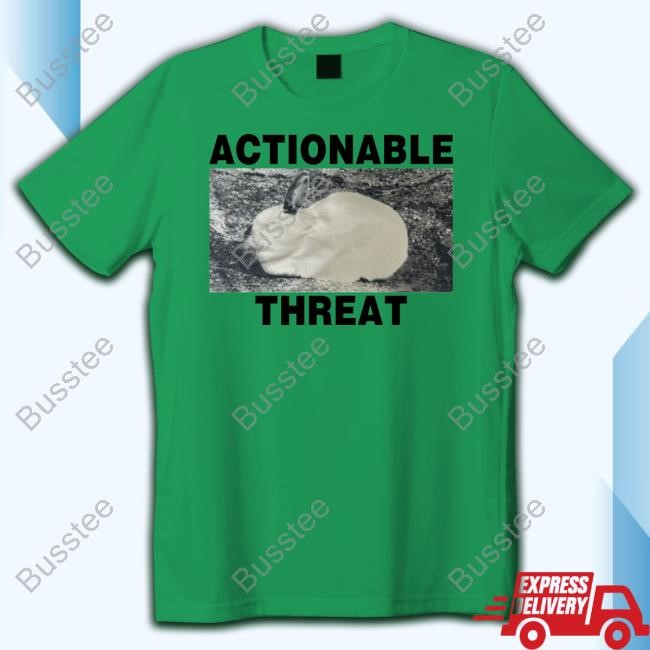Actionable Threat Hoodie Sweatshirt