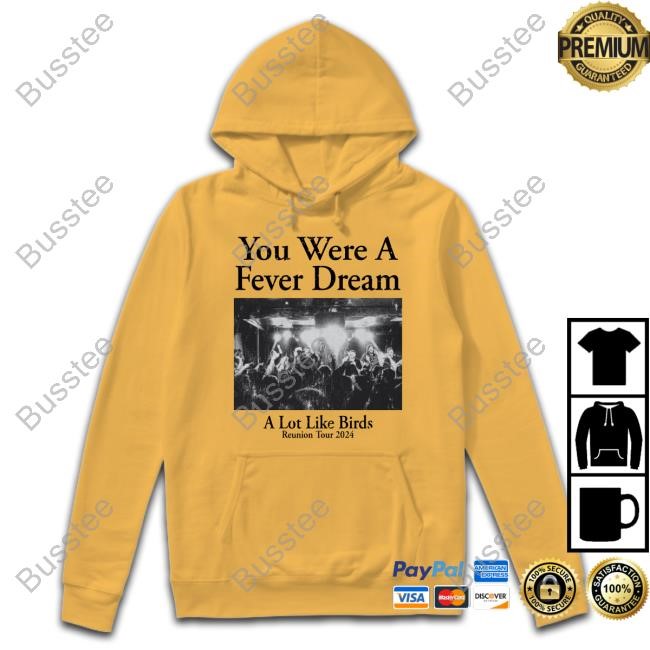 You Were A Fever Dream A Lot Like Birds T Shirt