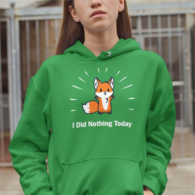 I Did Nothing Today Hoodie