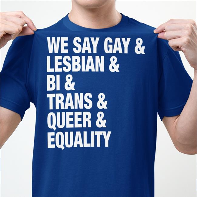 We Say Gay Lesbian Bi Trans Queer Equality Hoodie