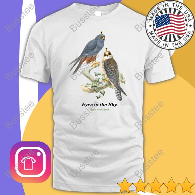 Eyes In The Sky Birds Aren't Real Tee Shirt Eyes In The Sky Birds Aren't Long Sleeve Tee Real Birdsarentreal Merch