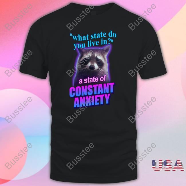 Snazzy Seagull What State Do You Live In A State Of Constant Anxiety Raccoon Tee Shirt
