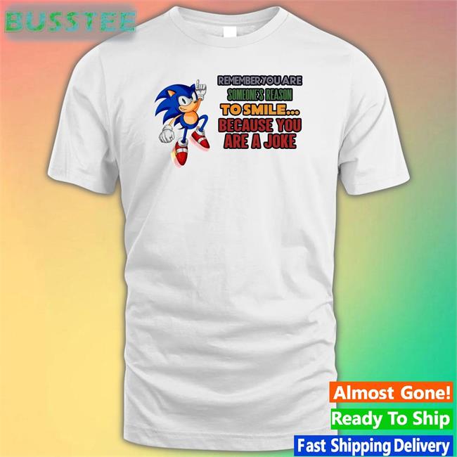 Sonic Remember You Are Someone's Reason To Smile Because You Are A Joke Shirt