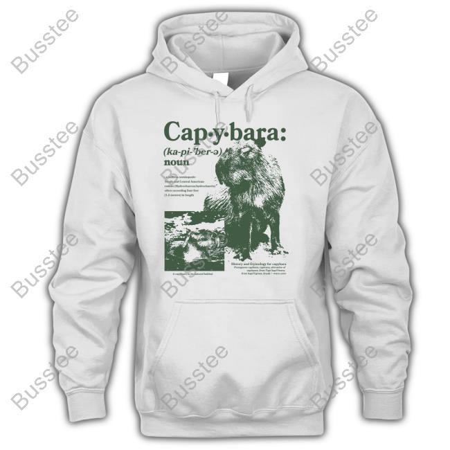 Capybaraman Shop Capybara Noun Defined Shirt