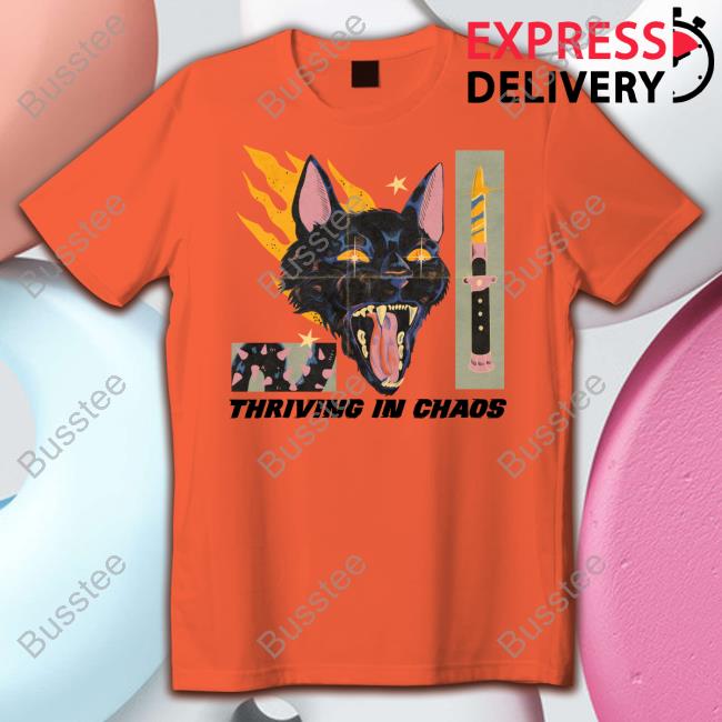 Thriving In Chaos Cat Hooded Sweatshirt
