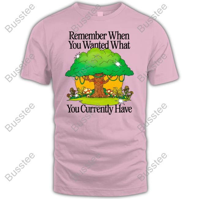 Remember When You Wanted What You Currently Have Hoodied Sweatshirt Madebynelson