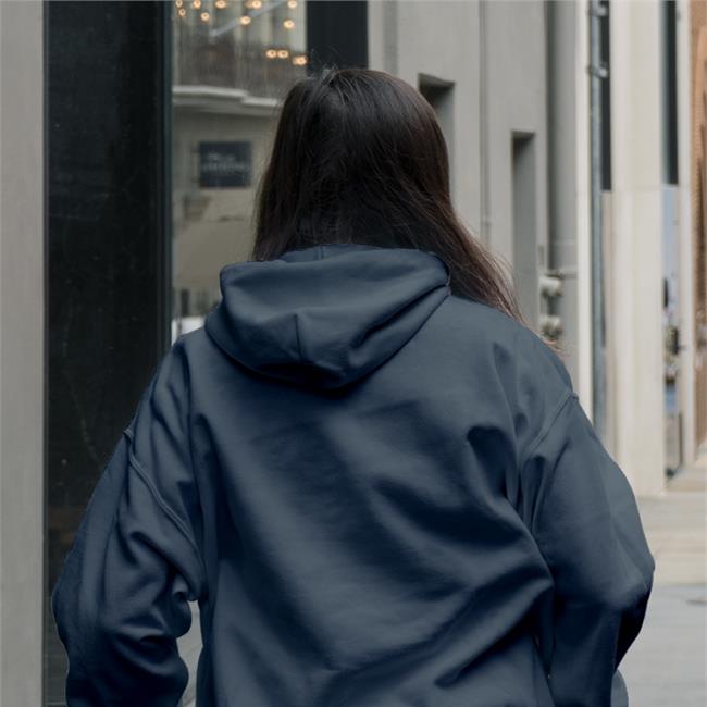 Biden Harris 2022 Hoodie Politicaldecisionsufferer