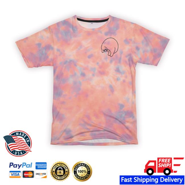 Poorly Drawn Cats Fibonacci Cat Tie Dye Tee Shirt