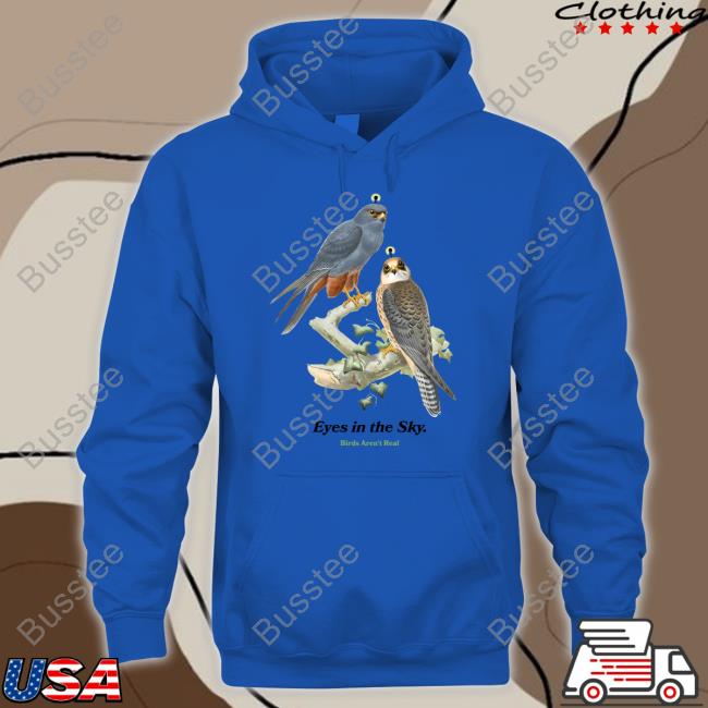 Eyes In The Sky Birds Aren't Real Tee Shirt Eyes In The Sky Birds Aren't Real Hoodie