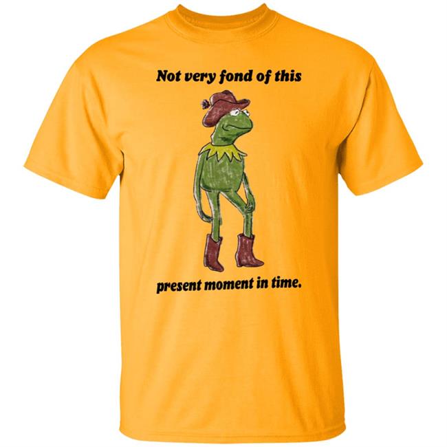 Not Very Fond Of This Present Moment In Time Shirt Scarlet Petalsfordraco