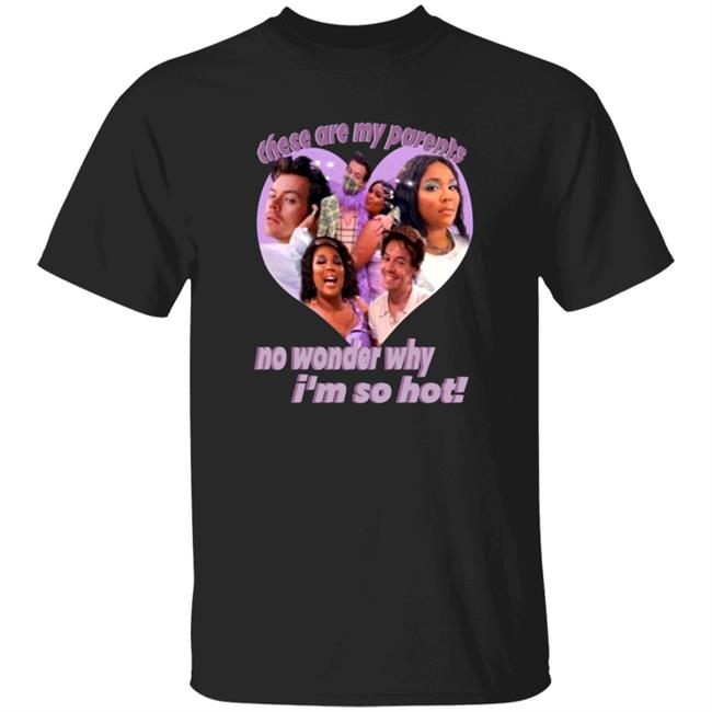 These Are My Parents No Wonder Why I'm So Hot Shirt Hizzo My Parents Meme T Shirt Hoodie Sweatshirt