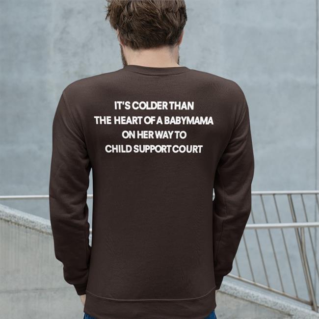 Shirts That Go Hard It's Colder Than The Heart Of A Babymama On Her Way To Child Support Court Shirt Shirtsthtgohard