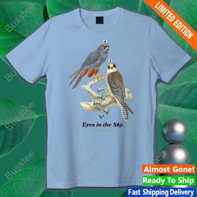 Eyes In The Sky Birds Aren't Real Tee Shirt Eyes In The Sky Birds Aren't Real Hoodie