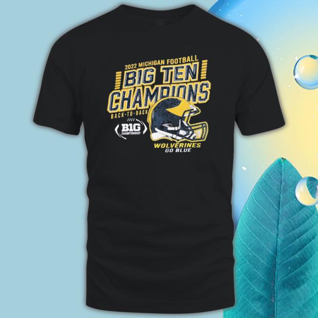 Original Michigan Football Back To Back Big Ten Champions 2022 Hooded Sweatshirt