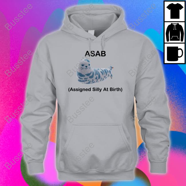 Aly Asab Assigned Silly At Birth Hoodie Picckl