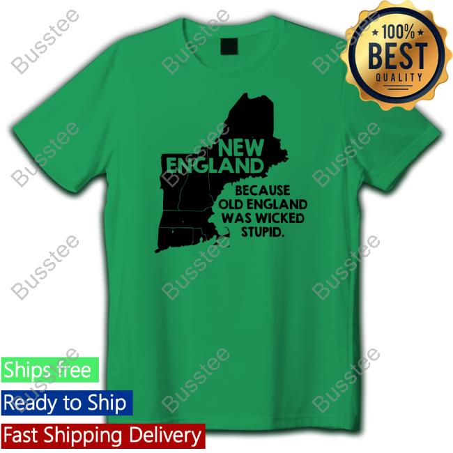 Stanatarium New England Because Old England Was Wicked Stupid Tee Shirt Snorgtees