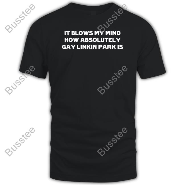It Blows My Mind How Absolutely Gay Linkin Park Is Hoodie Sweatshirt