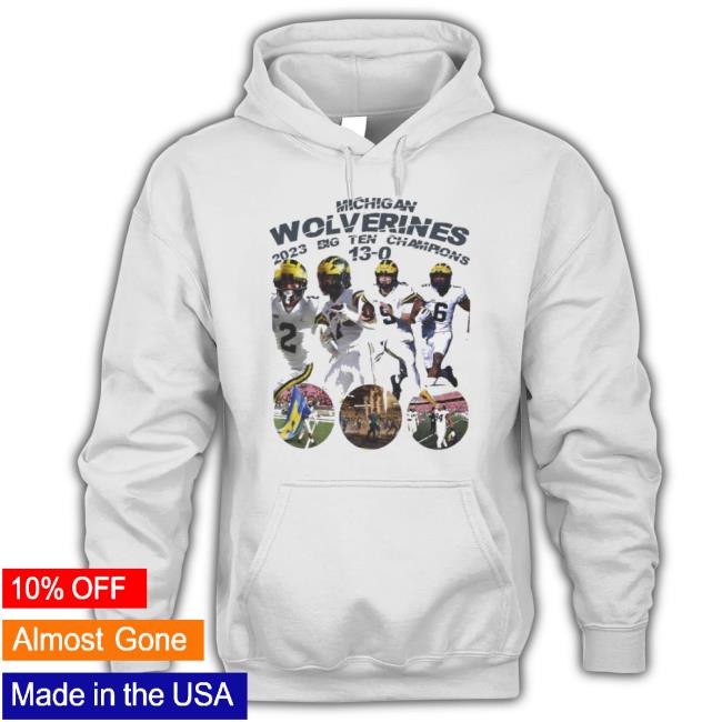Official Michigan Wolverines 2023 Big Ten Champions 13-0 Sweater