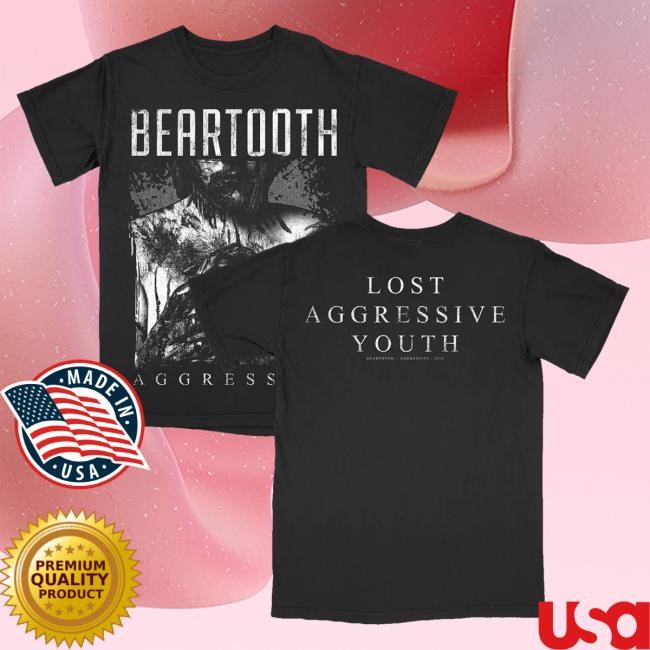 Beartooth Band Merch Store Aggressive Album Tee - Album Collection Long Sleeve Shirt