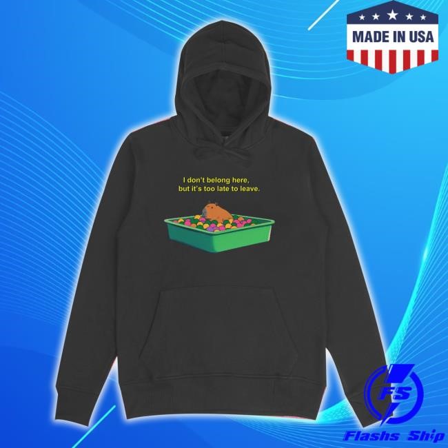 Official I Don't Belong Here Hoodie Dogecore Merch Store Shirts
