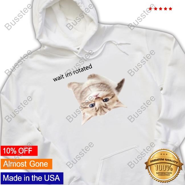 Wait Im Rotated Cat Hoodie Sweatshirt Rayelie