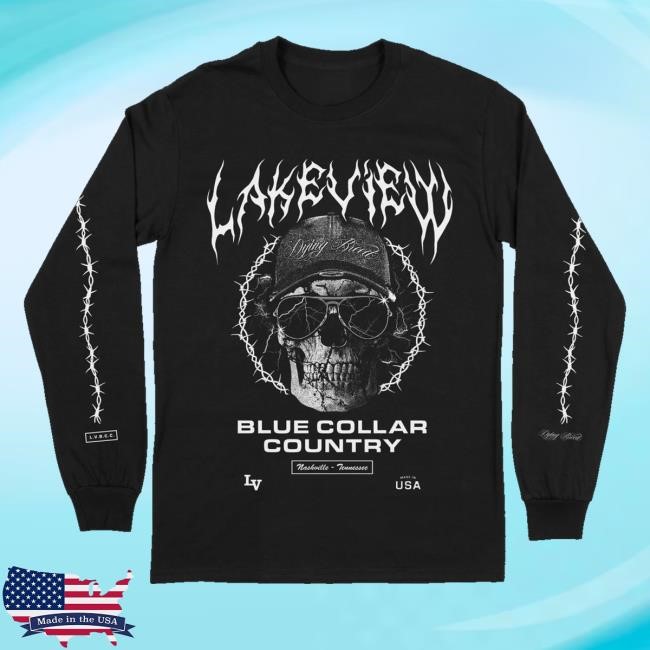 Down Right Merch Lakeview Skull Youth T Shirt